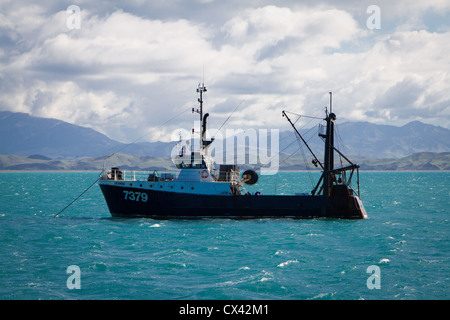 Trawler al di ancoraggio Foto Stock