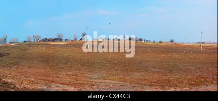 La molla di arato campo. Foto Stock