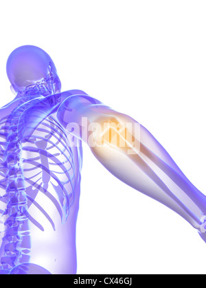 Rendering 3d Illustrazione medica di una borsite Foto Stock