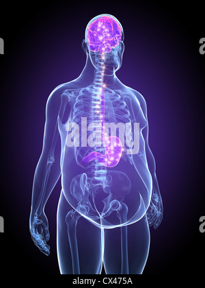 Rendering 3D illustrazione anatomia di un uomo sovrappeso Foto Stock