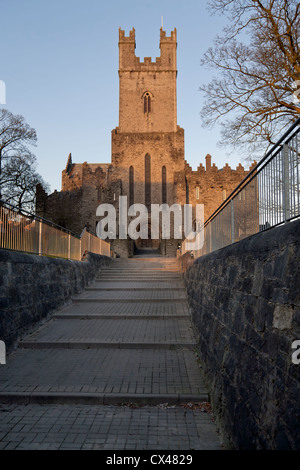 La Cattedrale di St Mary a Limerick, Irlanda Foto Stock