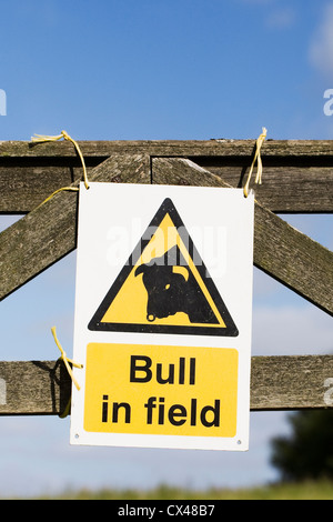 Bull nel campo Segnale di avvertimento su un cancello in legno. Foto Stock