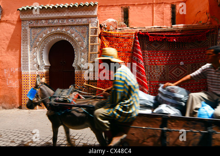 Asino tirato su carrello tipica marocchina rossastro street. Marrakech, Marocco Foto Stock