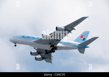 Più grande del mondo di jet del passeggero in atterraggio a LAX in Los Angeles Foto Stock