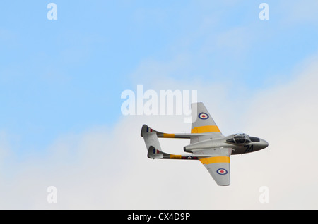 De Havilland T11 Vampire - jet militare aereo durante un volo a poco Gransden Airfield, Cambridgeshire, Regno Unito Foto Stock