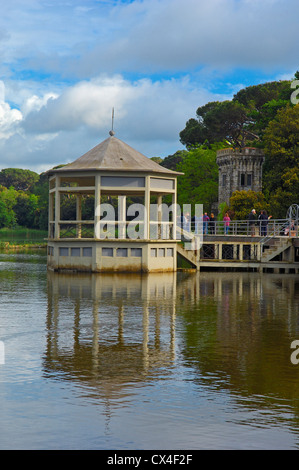 Il lago di Massaciuccoli, Torre del Lago Puccini, Viareggio, Provincia di Lucca, Toscana Italia Europa. Foto Stock