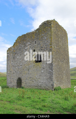 Torre Dryhope, Superiore Yarrow Valley, frontiere, Scotland, Regno Unito Foto Stock