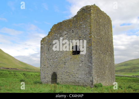 Torre Dryhope, Superiore Yarrow Valley, frontiere, Scotland, Regno Unito Foto Stock