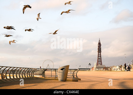 Rigenerato Promenade di Blackpool con la Blackpool Tower in lontananza e la ruota panoramica sul molo centrale, South Shore LANCASHIRE REGNO UNITO Foto Stock
