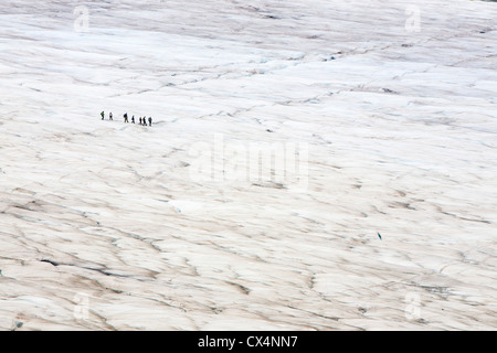 Canali di acqua di disgelo e turisti sul Ghiacciaio Athabasca che sta svanendo in modo estremamente rapido e ha perso oltre il 60% Foto Stock