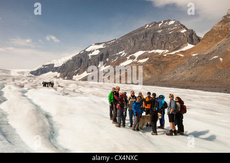 Canali di acqua di disgelo e turisti sul Ghiacciaio Athabasca che sta svanendo in modo estremamente rapido e ha perso oltre il 60% Foto Stock