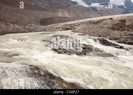 Acqua di disgelo al muso del Ghiacciaio Athabasca che sta svanendo in modo estremamente rapido e ha perso oltre il 60% della sua massa di ghiaccio Foto Stock