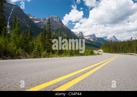 Il Campo di Ghiaccio Parkway tra Jasper e Bamff nelle Montagne Rocciose Canadesi Foto Stock