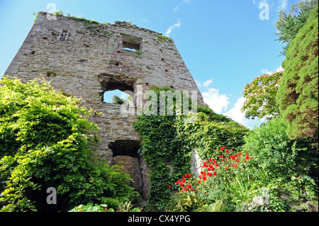 Usk le rovine del castello di aprire al pubblico - Il castello in rovina tenere Foto Stock