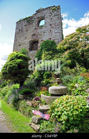 Usk le rovine del castello di aprire al pubblico - Il castello in rovina tenere Foto Stock