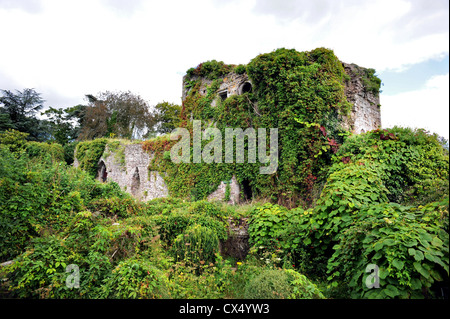 Usk le rovine del castello di aprire al pubblico - le rovine di mantenere Foto Stock