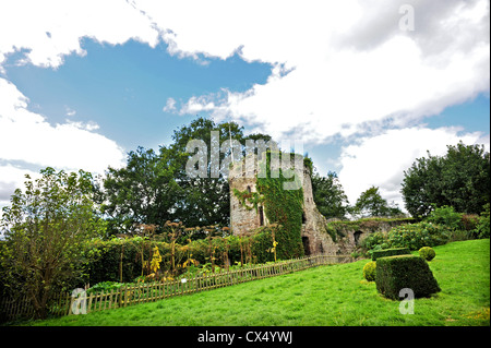 Usk le rovine del castello di aprire al pubblico - La torre di presidio Foto Stock