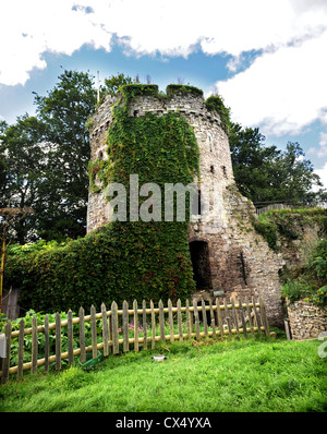 Usk le rovine del castello di aprire al pubblico - La torre di presidio Foto Stock