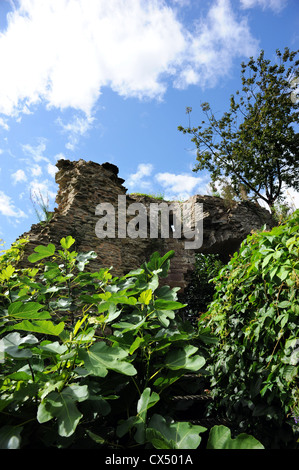 Usk le rovine del castello di aprire al pubblico Foto Stock