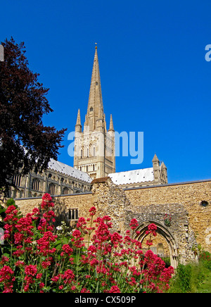 La magnifica cattedrale di Norwich vanta la seconda guglia più alta in Inghilterra. Foto Stock