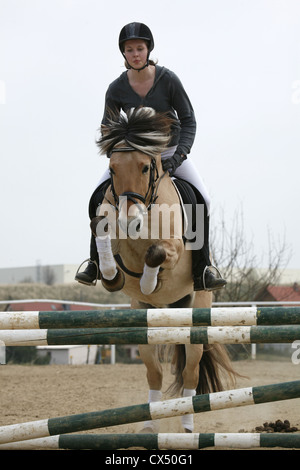 Rider con norvegese cavallo Foto Stock