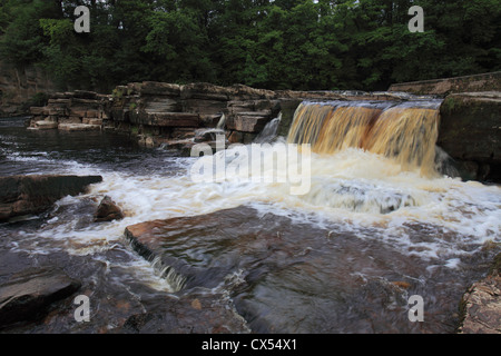 Cascate, fiume Swale; Richmond Town; North Yorkshire, Inghilterra, Regno Unito Foto Stock