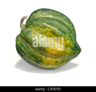 Acorn Squash fotografato su sfondo bianco Foto Stock