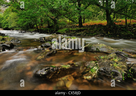 Il fiume Esk nei pressi di Boot in Eskdale, bellissima valle Western Lake District inglese Foto Stock