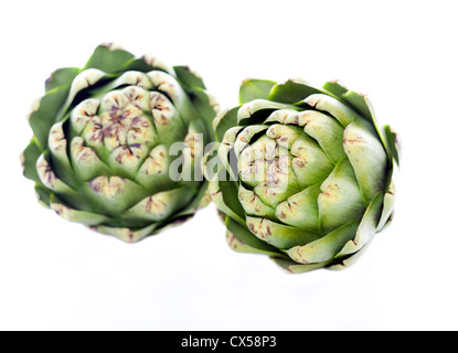 Carciofi isolato su bianco Foto Stock