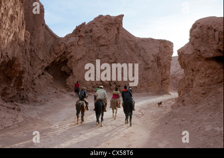 Equitazione, Valle de la Luna (a valle della luna), il Deserto di Atacama, Cile. Foto Stock