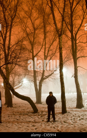 Nebbia invernale con alberi di notte, Biggin Hill, Kent, England, Regno Unito, Europa Foto Stock