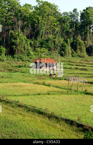 Capanne tribali degli agricoltori nel mezzo di campi di riso in Wayanad villaggi nelle vicinanze della zona di foresta paesaggio a Kerala, India Foto Stock