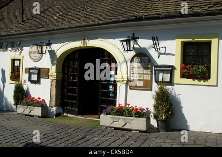 Elk190-2054 Ungheria Szentendre, ristorante Foto Stock