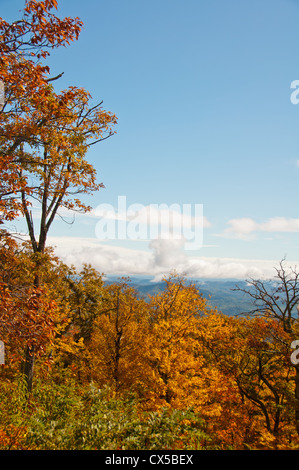 Caduta delle Foglie lungo il Blueridge Parkway, Carolina del Nord Foto Stock