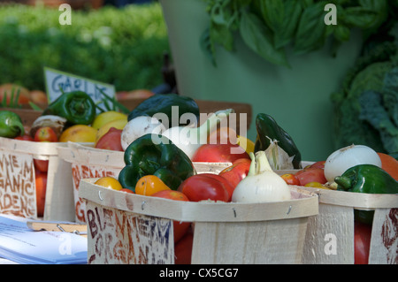 Kit di salsa sul display a Williamsburg mercato agricolo. Foto Stock