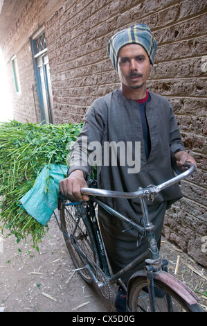 L'uomo contadino e la sua bicicletta in Asyut Governatorato Egitto Foto Stock