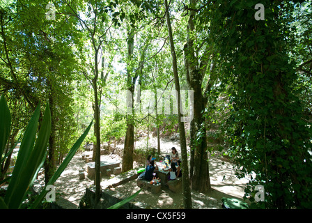 ALGARVE, Portogallo. Una famiglia picknicking in boschi nel villaggio termale di Caldas de monchique. 2012. Foto Stock