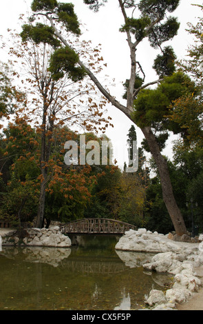 Ponte di legno e il lago, caduta stagione, Giardini Nazionali, Atene, Attica, Grecia Foto Stock