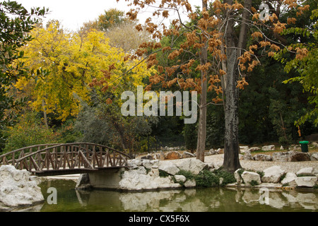 Ponte di legno e il lago, caduta stagione, Giardini Nazionali, Atene, Attica, Grecia Foto Stock