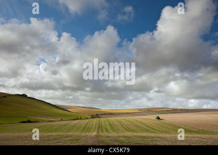 Fine Estate in South Downs National Park, East Sussex, Inghilterra. Foto Stock