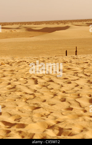 Vista panoramica delle dune di sabbia nel deserto del Sahara in Tunisia Foto Stock