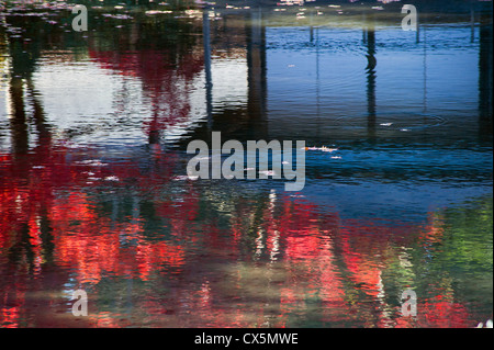 Appassimento in autunno in un antico giardino giapponese in Nikko , Giappone Foto Stock