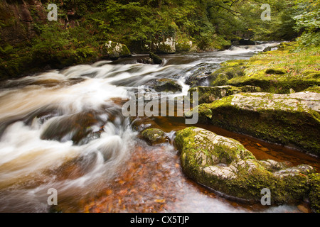 Le acque che scorre a Watersmeet nel Parco Nazionale di Exmoor, Inghilterra. Foto Stock