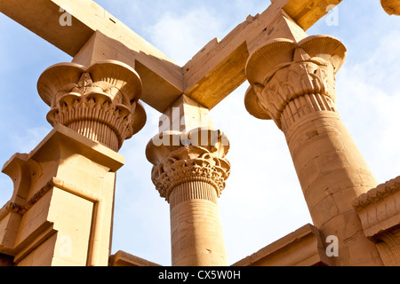 Colonne presso il Tempio di Philae Foto Stock