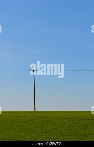 Un palo del telegrafo e i fili in un campo, REGNO UNITO Foto Stock