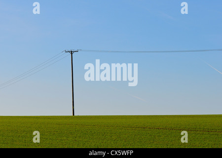 Un palo del telegrafo e i fili in un campo, REGNO UNITO Foto Stock