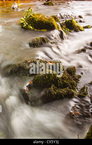 Il fluire delle acque del fiume barle vicino al Ponte di ladri, vicino Oareford nella valle Doone Exmoor Somerset Inghilterra Foto Stock