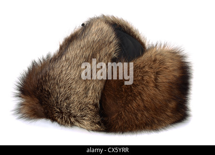 Winter raccon fur hat isolated on white Foto Stock