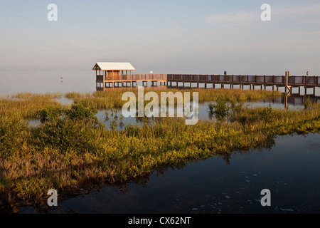 Il Boardwalk a South Padre Island birdwatching e Centro Natura, South Padre Island, Texasd Foto Stock