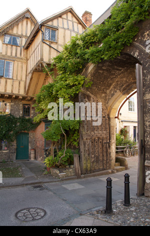 Il priorato di gate, ricoperta con il glicine, è l'antica xv secolo entrata sud di Winchester Cathedral interna del vicino. Hampshire, Inghilterra, Regno Unito. Foto Stock